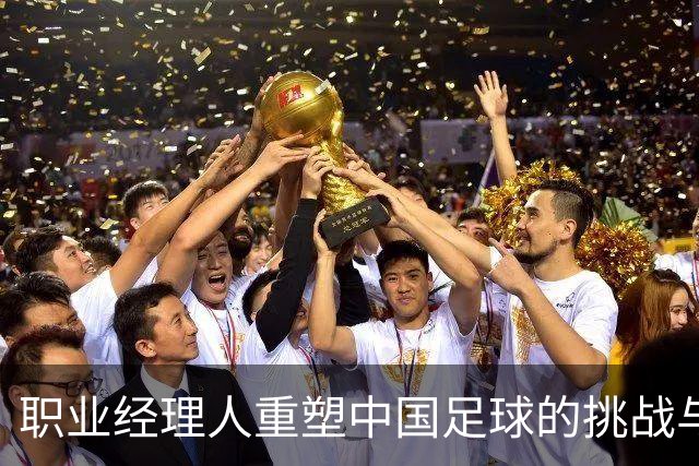 职业经理人重塑中国足球的挑战与机遇